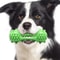 Interactive Dog Chew Toy Dental Cleaning Bone For Aggressive Chewers With Squeaker 7
