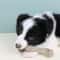 Durable Dog Chew Bone Toy For Aggressive Chewers Teething Training Stick 0