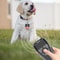 Ultrasonic Dog Repeller Trainer With Flashlight And Power Bank 1