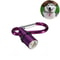 LED Dog Collar Light Blinking Pendant for Night Safety