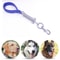 Shock Absorbing Dog Leash With Spring Foam Handle For Medium Large Dogs 0
