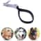 Shock Absorbing Dog Leash With Spring Foam Handle For Medium Large Dogs 1