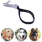 Shock Absorbing Dog Leash With Spring Foam Handle For Medium Large Dogs 1