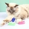 High-Bounce Interactive Cat Spring Toy Set for Active Play and Mental Stimulation