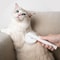 SelfCleaning Pet Grooming Brush For Cats Dogs Deshedding Tool With Gentle Slicker Brush 7