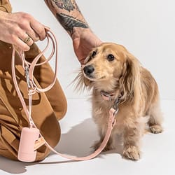 portable dog poop bag dispenser with leash clip & waterproof case for easy pet waste cleanup