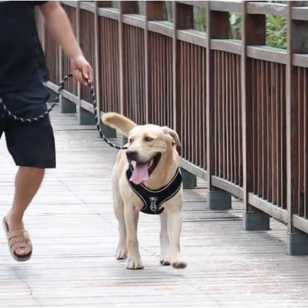 Reflective Dog Leash For Medium Large Dogs Red Heavy Duty Walking Lead 5