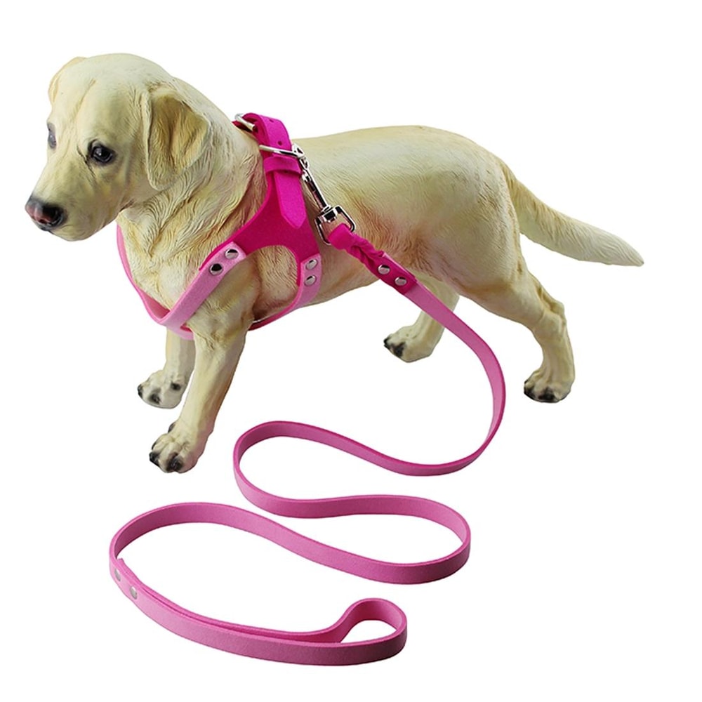 Breathable Dog Chest Strap Harness Soft Lightweight Pet Vest For Everyday Walks 0
