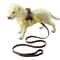 Breathable Dog Chest Strap Harness Soft Lightweight Pet Vest for Everyday Walks
