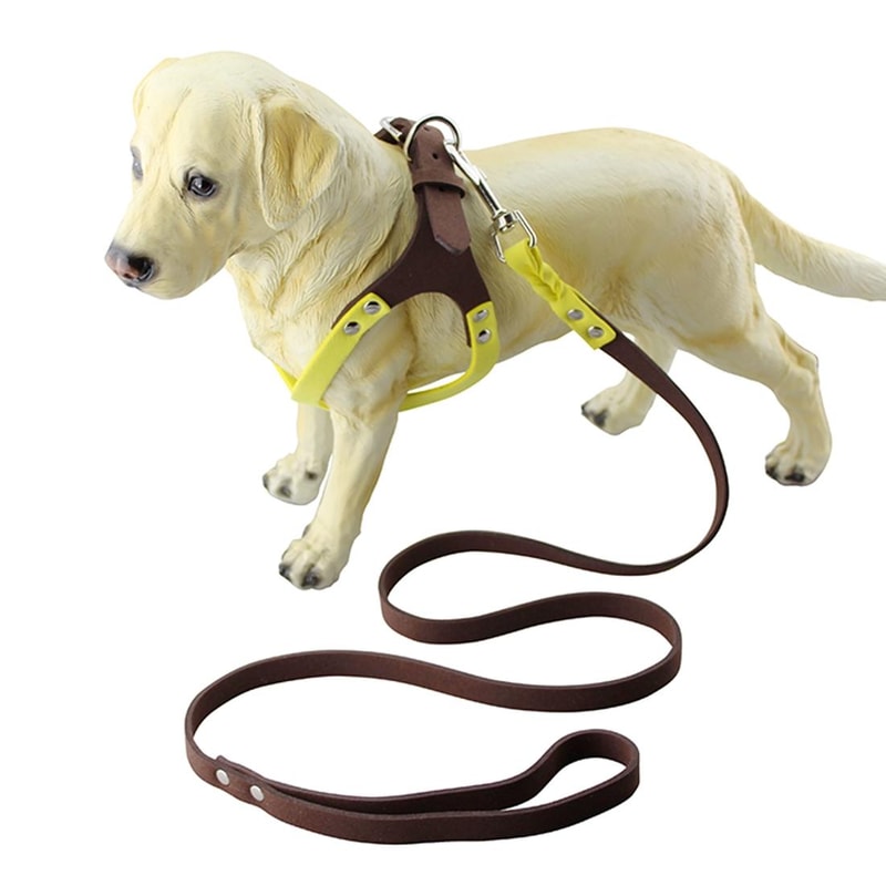 Breathable Dog Chest Strap Harness Soft Lightweight Pet Vest for Everyday Walks