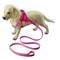 Breathable Dog Chest Strap Harness Soft Lightweight Pet Vest for Everyday Walks