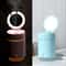 Portable Car Humidifier with Night Light USB Aroma Diffuser Air Purifier