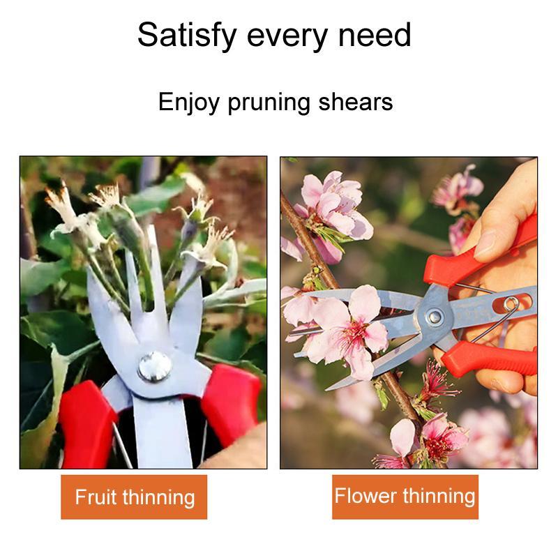 Precision SK5 Pruning Scissors for Fruit Thinning & Garden Care