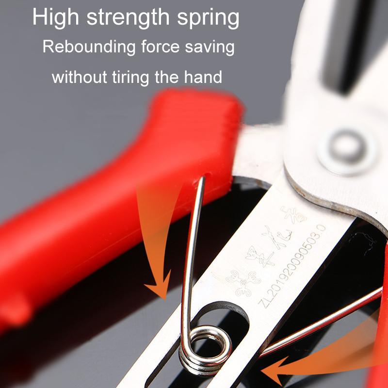 Precision SK5 Pruning Scissors for Fruit Thinning & Garden Care