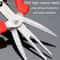 Precision SK5 Pruning Scissors for Fruit Thinning & Garden Care
