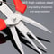 Precision SK5 Pruning Scissors for Fruit Thinning & Garden Care