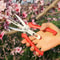 Precision SK5 Pruning Scissors for Fruit Thinning & Garden Care