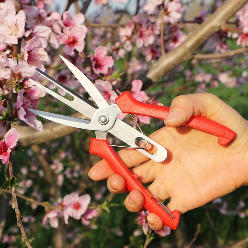 Precision SK5 Pruning Scissors for Fruit Thinning & Garden Care