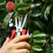 Precision SK5 Pruning Scissors for Fruit Thinning & Garden Care