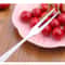 Stainless Steel Fruit Fork Set Reusable Mini Dessert Picks For Snacks Appetizers 5
