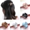 Elegant Mini Hair Claw Clip For Women Colorful Acrylic Bun Hair Accessory 4