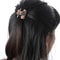 Elegant Mini Hair Claw Clip For Women Colorful Acrylic Bun Hair Accessory 5