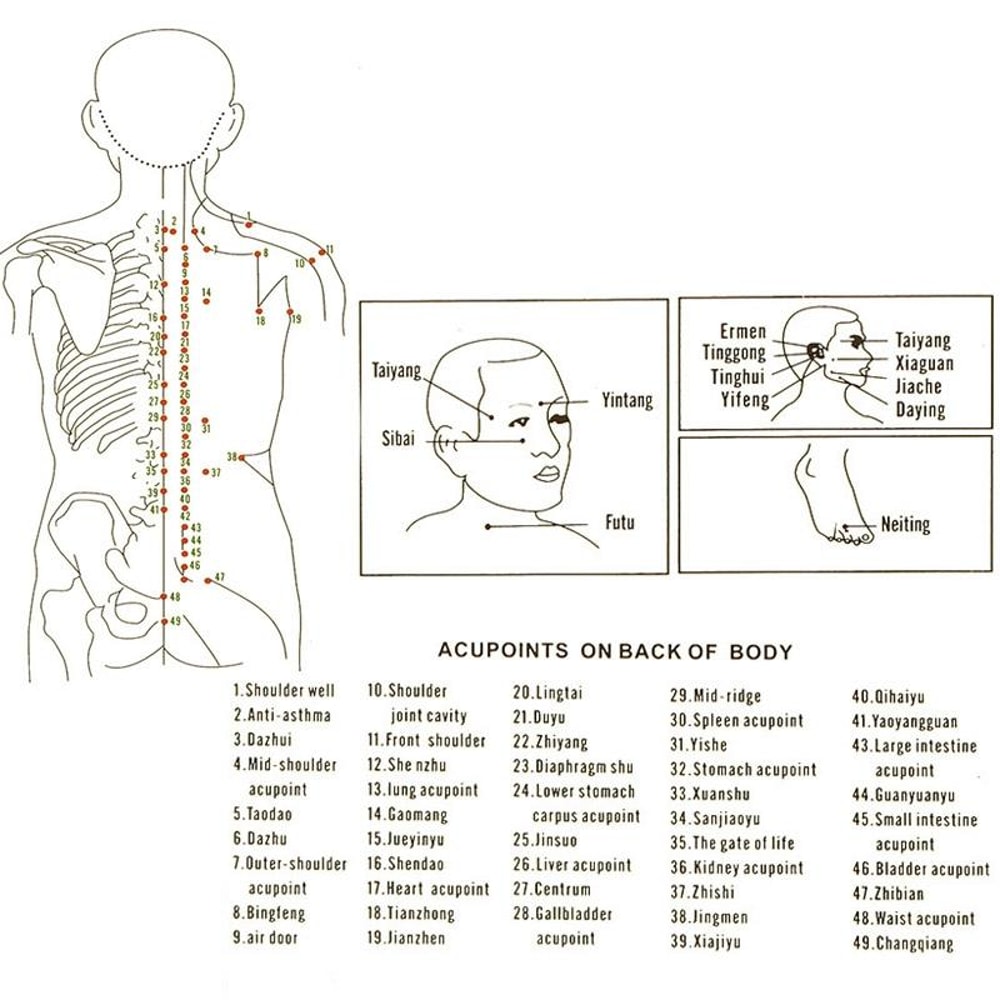 Silicone Cupping Therapy Set For Body Massage And Cellulite Care 4