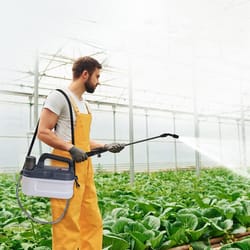 4l electric garden sprayer with rechargeable battery adjustable nozzle multi-purpose lawn atomizer