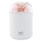 USB Flower Humidifier for Bedroom and Desk with Ambient Light