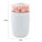 Flower Glow USB Humidifier With Aroma Diffuser Ambient Light For Home Car Office 9