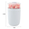 Flower Glow USB Humidifier With Aroma Diffuser Ambient Light For Home Car Office 9