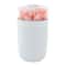 Flower Glow USB Humidifier With Aroma Diffuser Ambient Light For Home Car Office 0