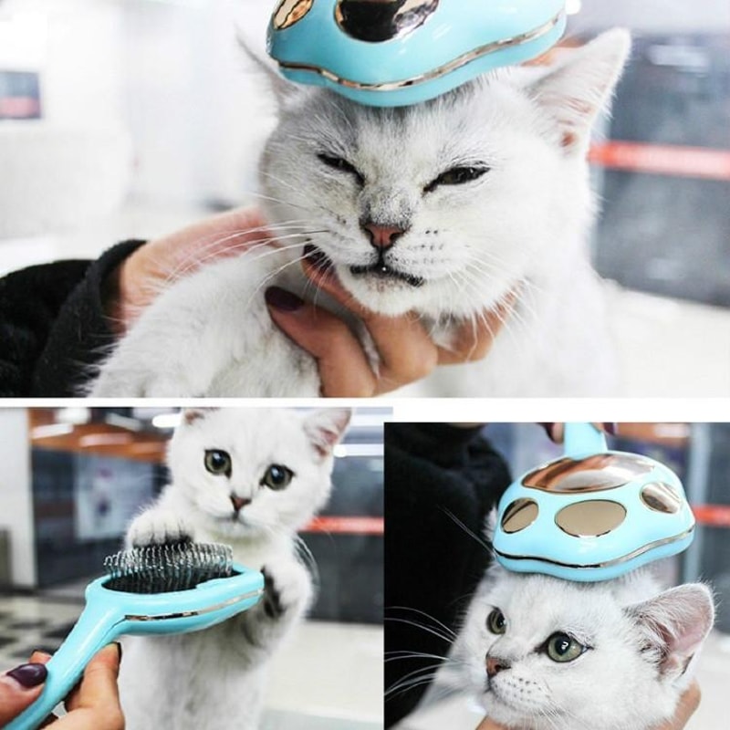 Footprint Pet Hair Remover Comb Gentle Pet Hair Remover For Dogs Cats Deshedding Grooming Brush 5