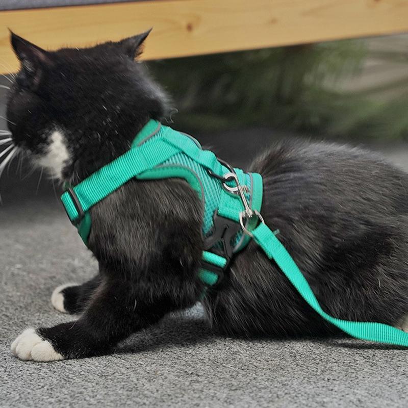 Reflective Breathable Dog Cat Harness Set With Leash Adjustable NoPull Pet Vest 1