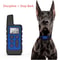 Remote Dog Training Collar Waterproof Rechargeable Bark Control System 2