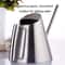 Precision Stainless Steel Long Spout Watering Can For Indoor Plants Lightweight 4