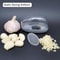 Manual Garlic Press & Rocker Mincer Crusher for Effortless Garlic Crushing