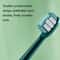 AW175 Sonic Electric Toothbrush Set For Couples Rechargeable Waterproof Oral Care 1