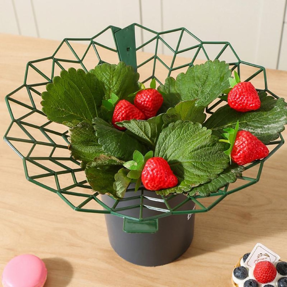 Strawberry Plant Support Ring Stand AntiRotting Garden Strawberry Support Frame Rack 0