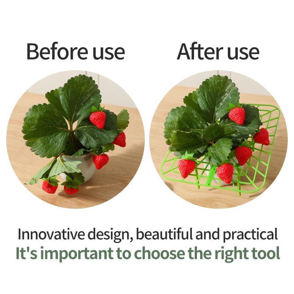 Strawberry Plant Support Ring Stand AntiRotting Garden Strawberry Support Frame Rack 2