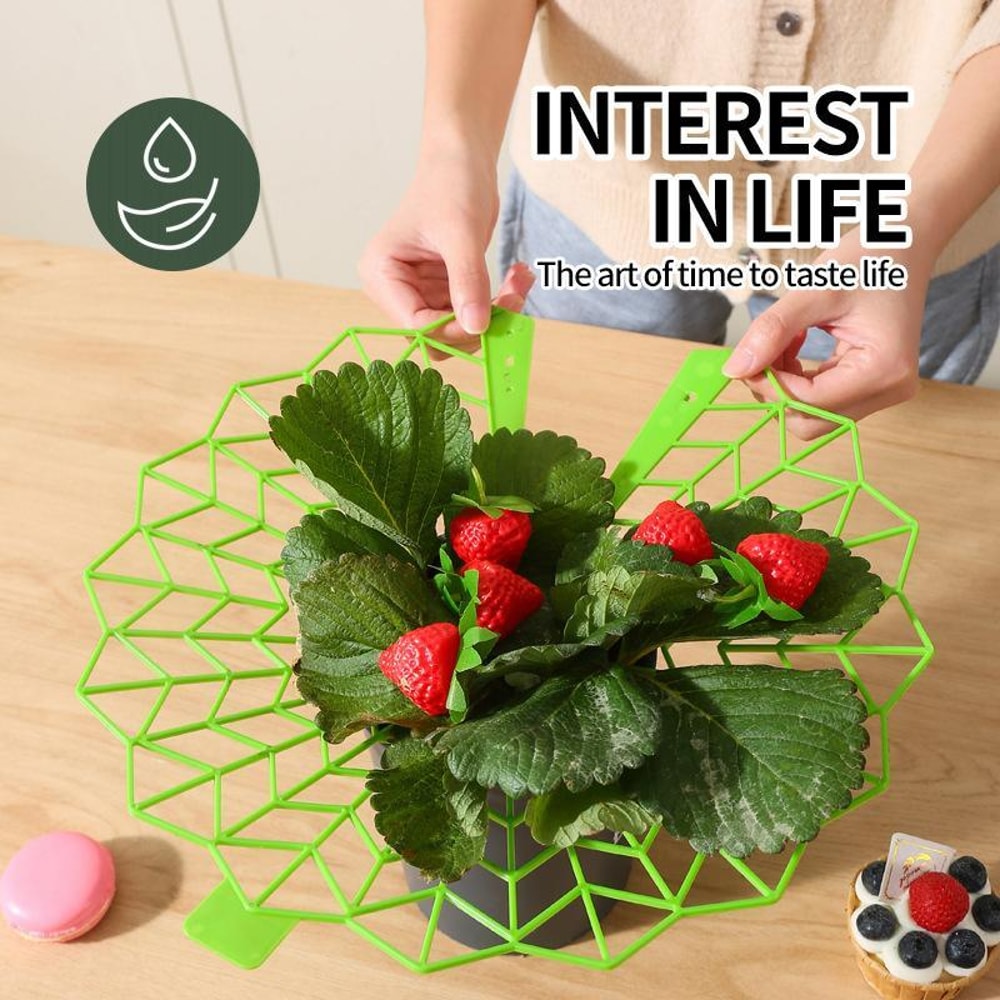 Strawberry Plant Support Ring Stand AntiRotting Garden Strawberry Support Frame Rack 3