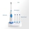 Rotary Electric Toothbrush Set with Waterproof Design & Replacement Brush Heads