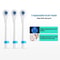 Rotary Electric Toothbrush Set with Waterproof Design & Replacement Brush Heads
