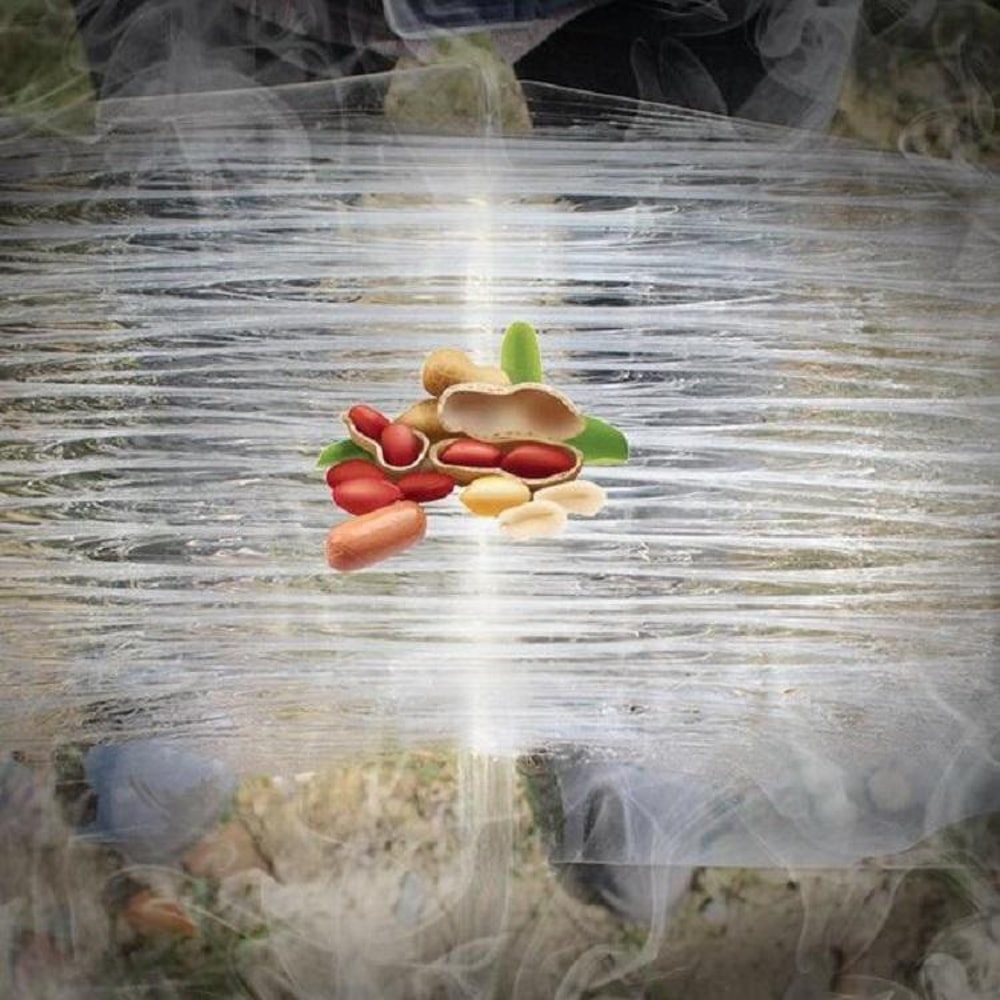 ClearGrip Mouse Glue Trap Transparent Sticky Mouse Trap For Indoor Pest Control 3