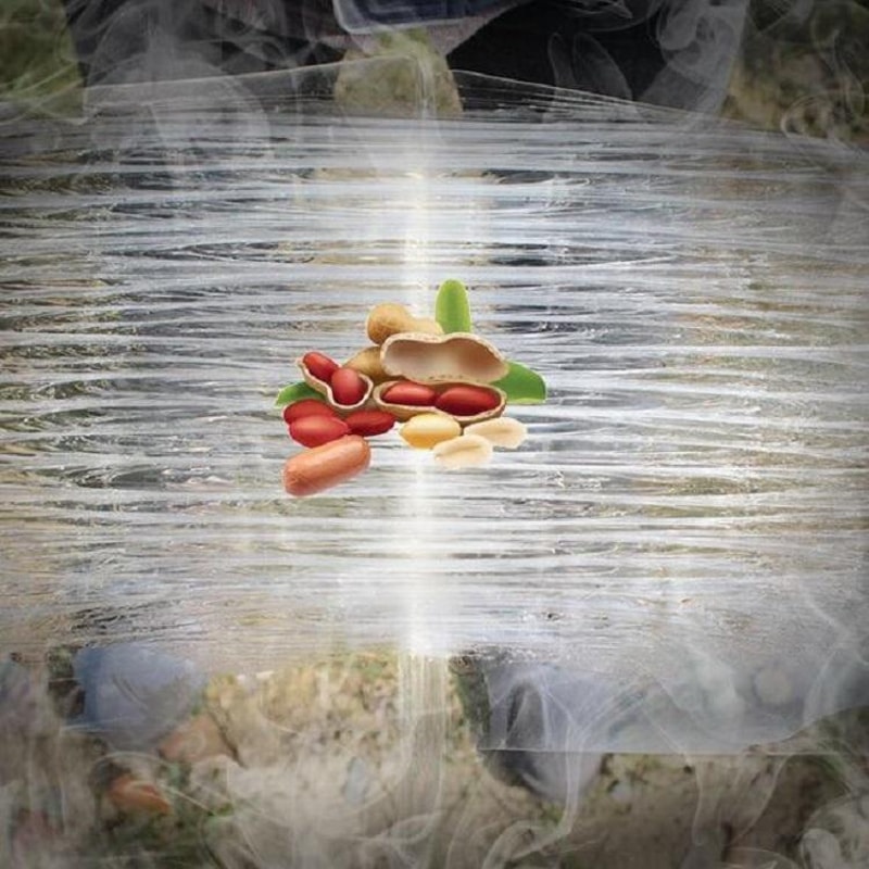 ClearGrip Mouse Glue Trap Transparent Sticky Mouse Trap For Indoor Pest Control 3