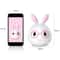 3D LED Rabbit Night Light Touch Control USB Rechargeable Lamp For Kids Bedroom Decor 6