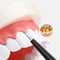 Electric Teeth Cleaner Tartar Remover Tool For Home Dental Care 0