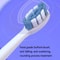 Magnetic Levitation Sonic Electric Toothbrush For Adults Soft Bristles Waterproof Smart Oral Care 1