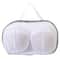 Protective Mesh Bra Laundry Bag Travel Underwear Organizer 0