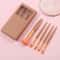 5 In 1 Portable Makeup Brush Set With Mirror Case Travel Makeup Brush Set 6